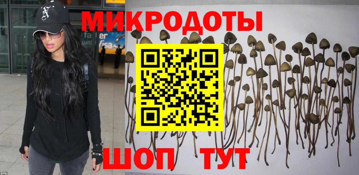 Псилоцибиновые грибы мицелий Шарыпово