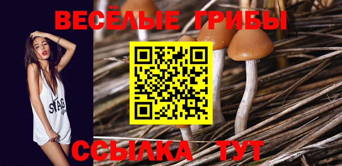 Шарыпово  Галлюциногенные грибы ЛСД  Псилоцибиновые грибы Cubensis  Вход с VPN 